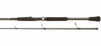 Спиннинг BFT Raptor G2 Pike Spin 8' -100g, 2,44м, 2-частник под безынерционную катушку																			