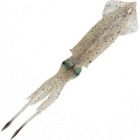 Приманка для вертикального джига Savage Salt Swim Squid 188 Green Eye