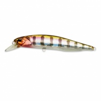 Воблер DUO Realis Jerkbait, 100 мм., суспенд., 14.5 гр. (DUO-RJB-100SP-D58)