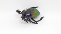 Воблер Chafer37 Бронзовка BR-19-L